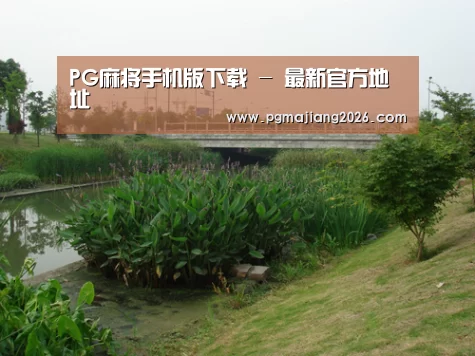 案例展示四(图1)