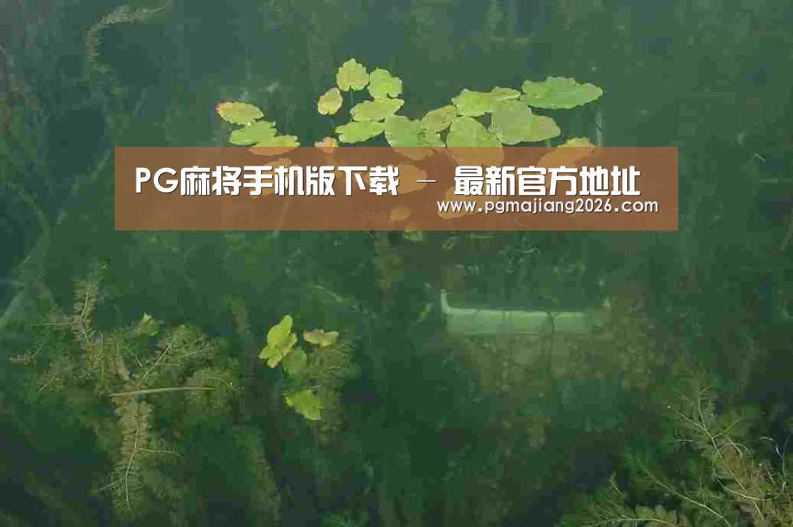 案例展示三(图1)