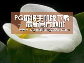 产品名称七