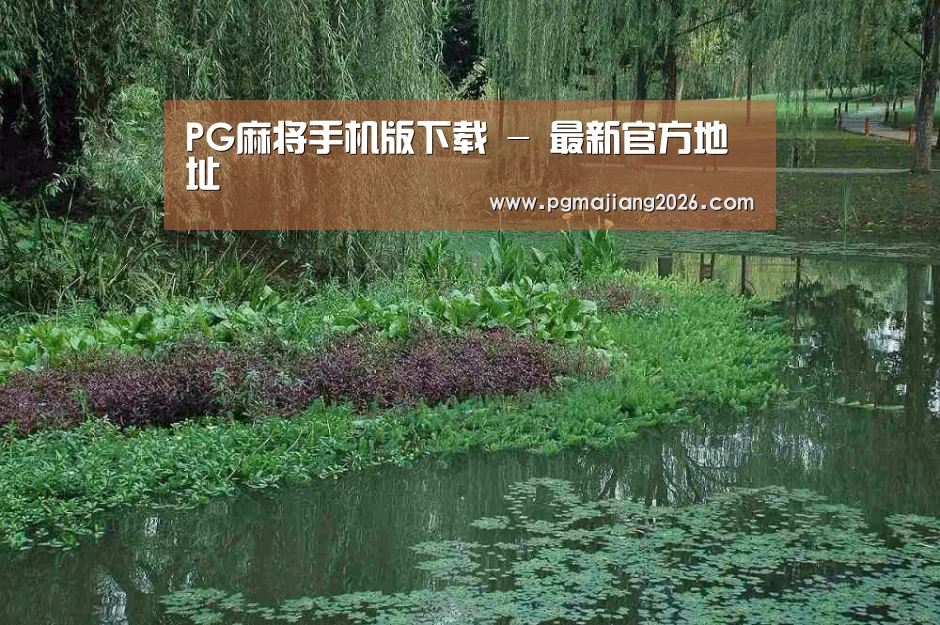 案例展示一