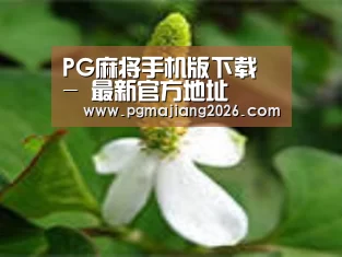 产品名称三