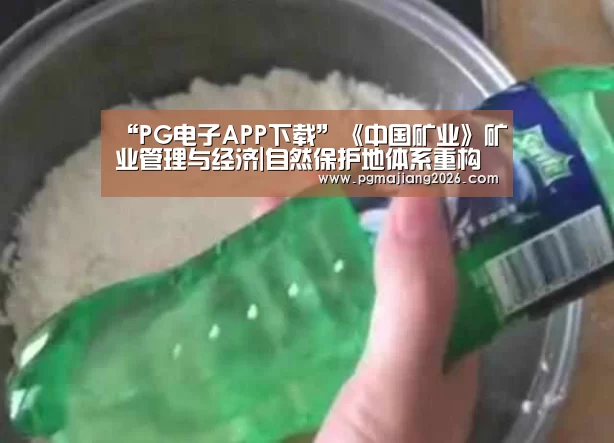 PG电子APP下载
