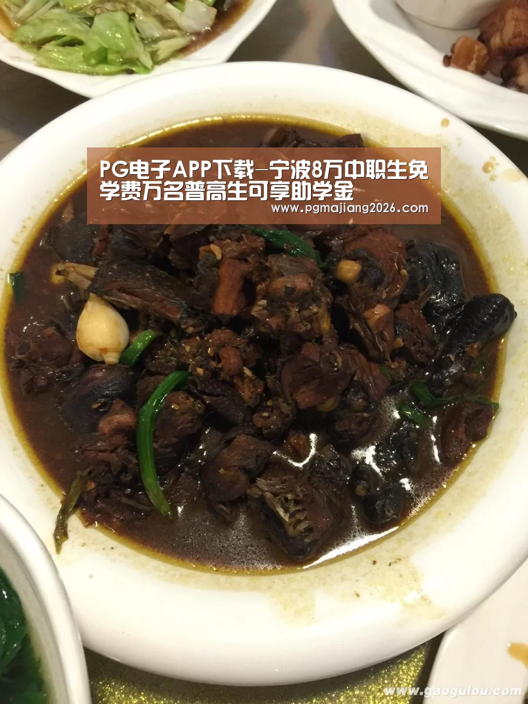 PG电子APP下载-宁波8万中职生免学费万名普高生可享助学金(图2) PG麻将手机版下载