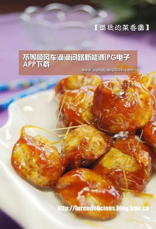 PG麻将官网入口