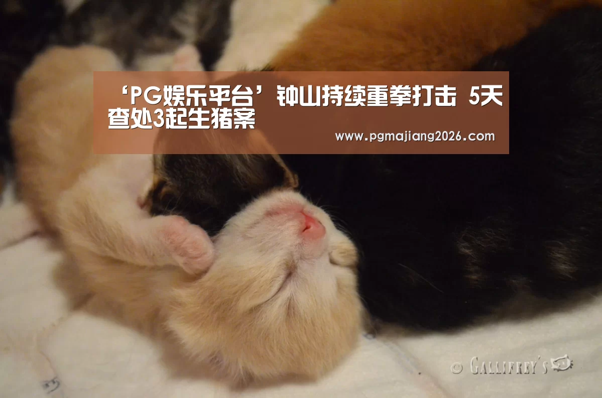PG娱乐平台