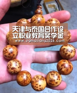 PG麻将官网入口