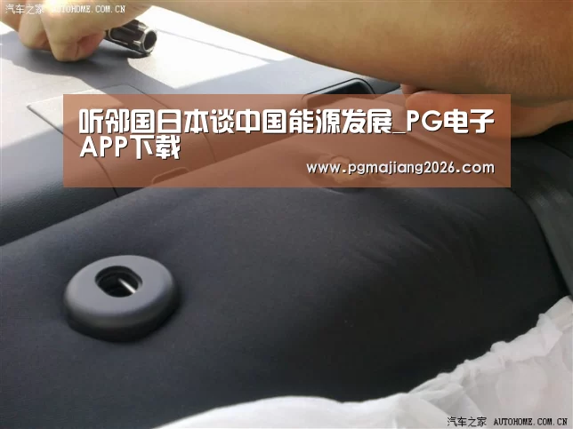 PG电子APP下载