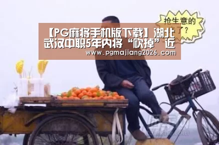 PG麻将官网入口
