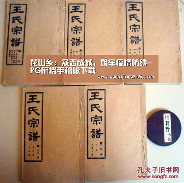 花山乡:众志成城,筑牢疫情防线-PG麻将手机版下载(图4) PG麻将官网入口