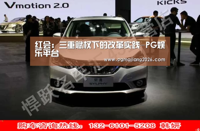 红会:三重赋权下的改革实践-PG娱乐平台(图1) PG麻将手机版下载