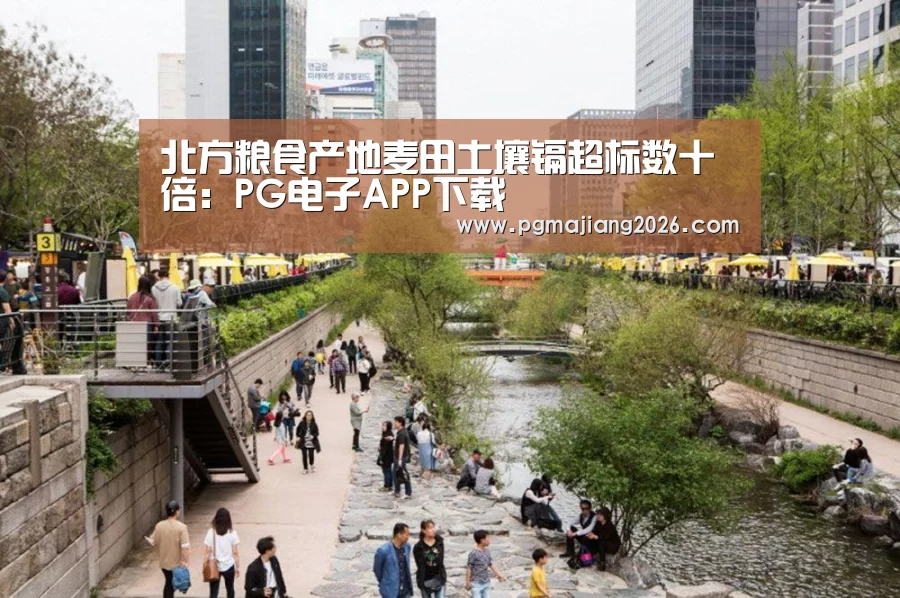 PG电子APP下载