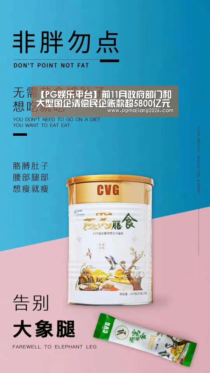 【PG娱乐平台】前11月政府部门和大型国企清偿民企账款超5800亿元(图2) PG麻将官网入口