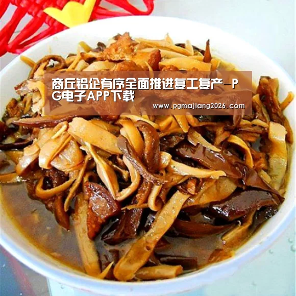 商丘铝企有序全面推进复工复产-PG电子APP下载(图1) PG麻将官网入口