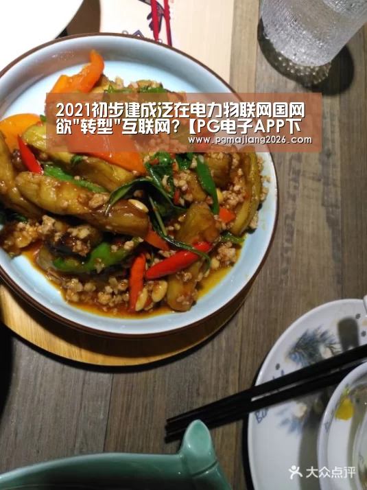 2021初步建成泛在电力物联网国网欲转型互联网?【PG电子APP下载】(图1) PG娱乐平台