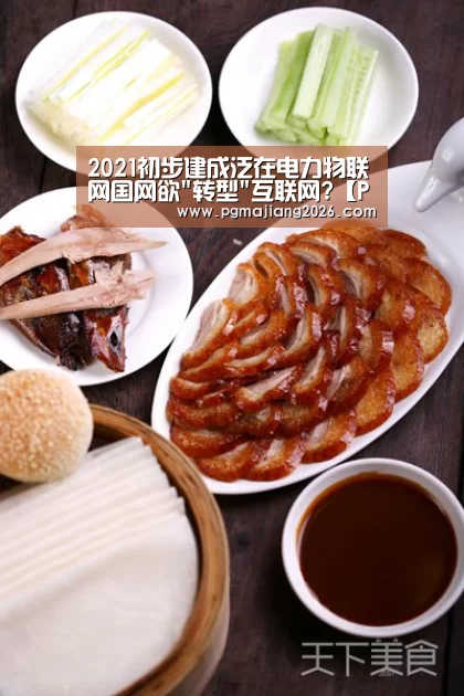 2021初步建成泛在电力物联网国网欲转型互联网?【PG电子APP下载】(图2) PG麻将官网入口