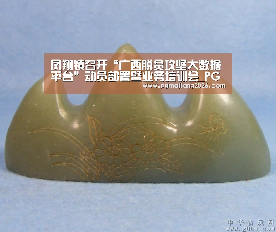 凤翔镇召开“广西脱贫攻坚大数据平台”动员部署暨业务培训会_PG电子APP下载(图3) PG麻将官网入口