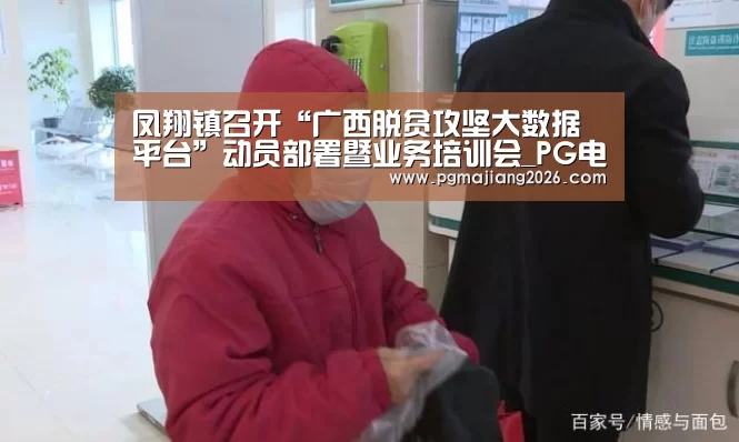 凤翔镇召开“广西脱贫攻坚大数据平台”动员部署暨业务培训会_PG电子APP下载(图2) PG娱乐平台