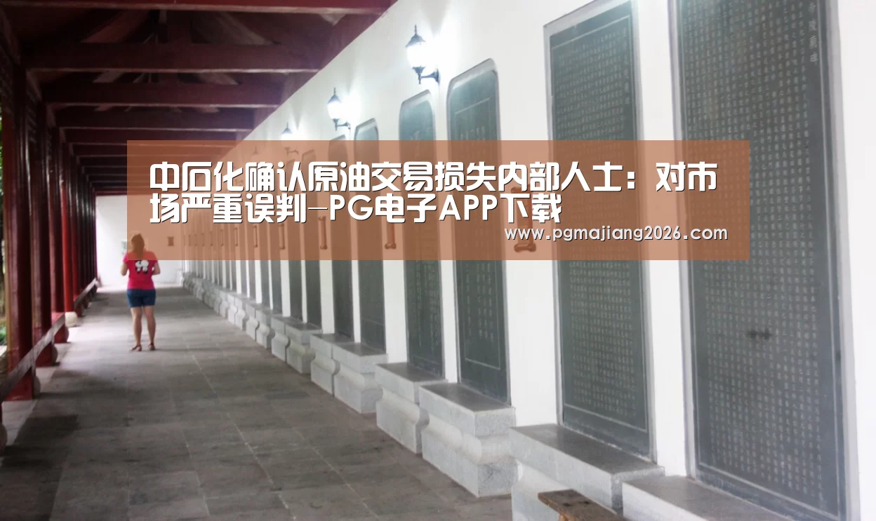 PG电子APP下载