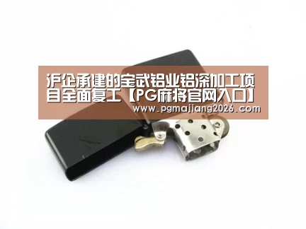 沪企承建的宝武铝业铝深加工项目全面复工【PG麻将官网入口】(图1) PG麻将手机版下载