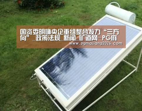 国资委明确央企重组整合发力“三方向”_政策法规_新闻_矿道网-PG麻将手机版下载(图4) PG电子APP下载
