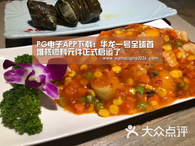 PG电子APP下载:华龙一号全球首堆核燃料元件正式启运了(图1) PG电子APP下载