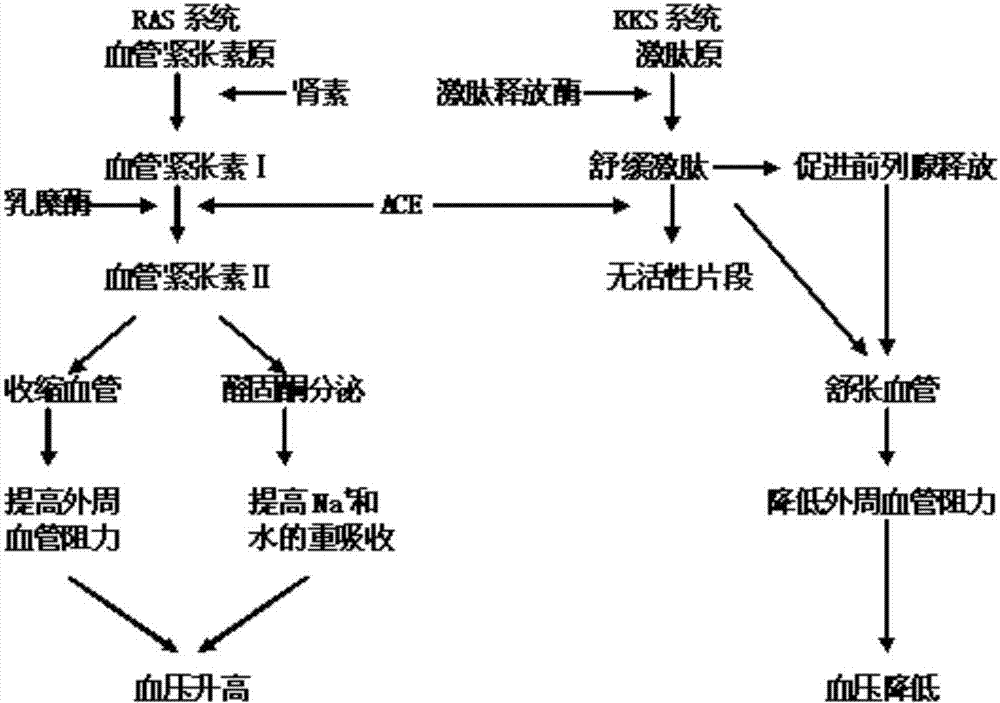 国资委明确央企重组整合发力“三方向”_政策法规_新闻_矿道网-PG麻将手机版下载(图1) PG娱乐平台