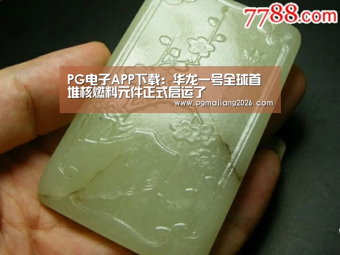 PG电子APP下载:华龙一号全球首堆核燃料元件正式启运了(图2) PG麻将官网入口