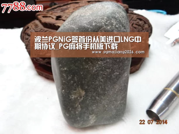 波兰PGNiG签首份从美进口LNG中期协议_PG麻将手机版下载(图2) PG麻将官网入口