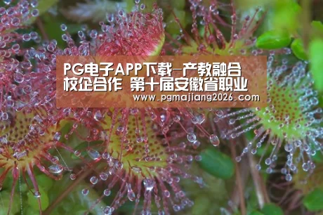 PG电子APP下载-产教融合 校企合作 第十届安徽省职业教育校企对接会在蚌埠举行(图4) PG麻将手机版下载