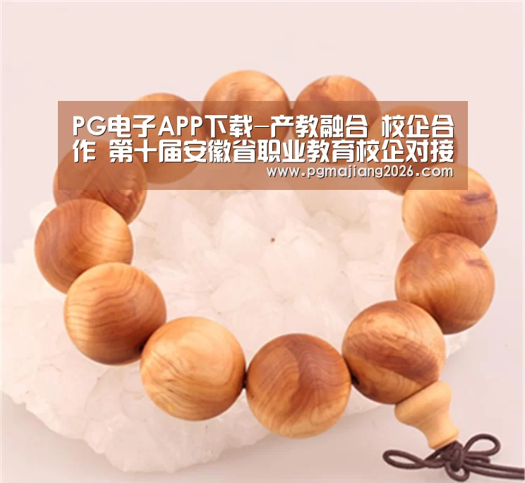 PG电子APP下载-产教融合 校企合作 第十届安徽省职业教育校企对接会在蚌埠举行(图2) PG电子APP下载