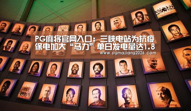 PG麻将官网入口:三峡电站为抗疫保电加大“马力”单日发电量达1.8亿千瓦(图3) PG麻将手机版下载