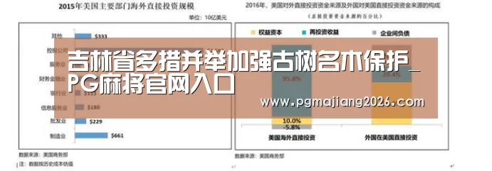 PG麻将官网入口