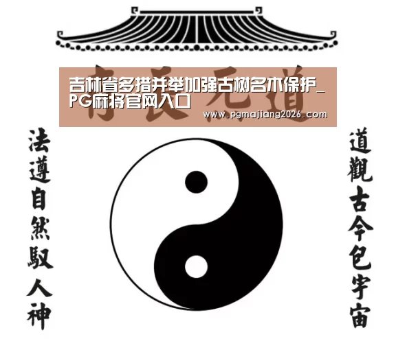 PG麻将官网入口