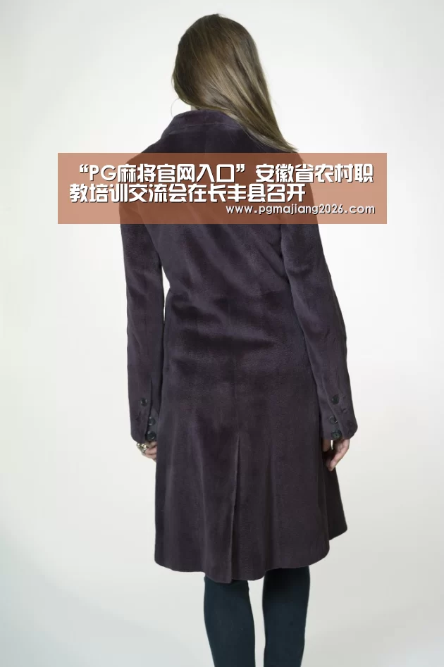 “PG麻将官网入口”安徽省农村职教培训交流会在长丰县召开(图1) PG麻将官网入口